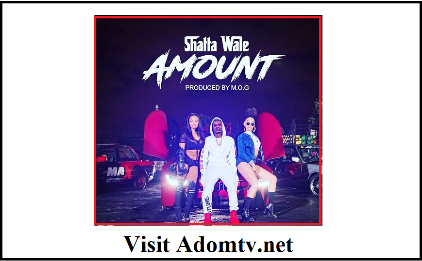 Shatta Wale Amount New Video Released