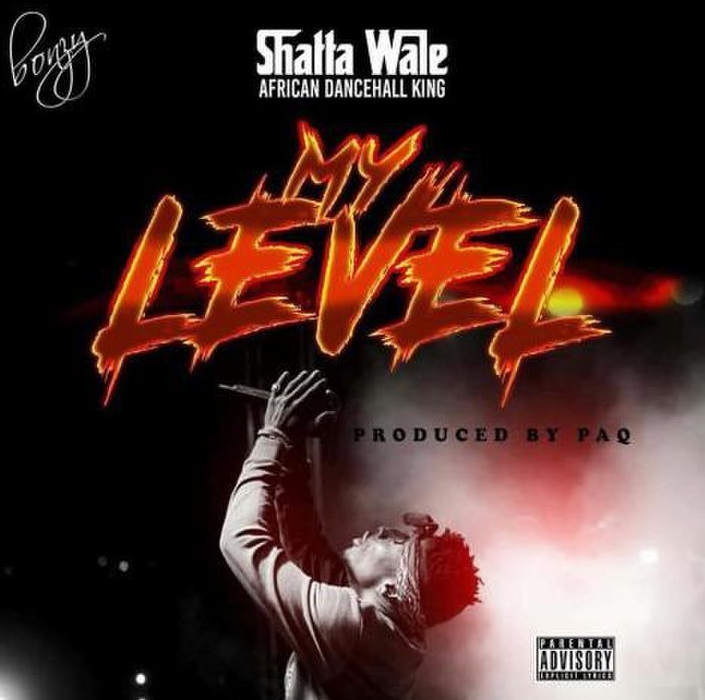 Shatta Wale London Show Performance